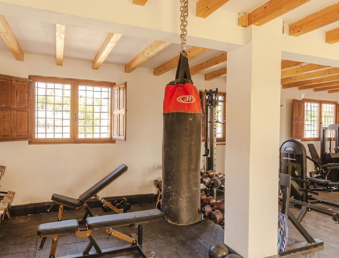 Private gym with punching bag and strength equipment